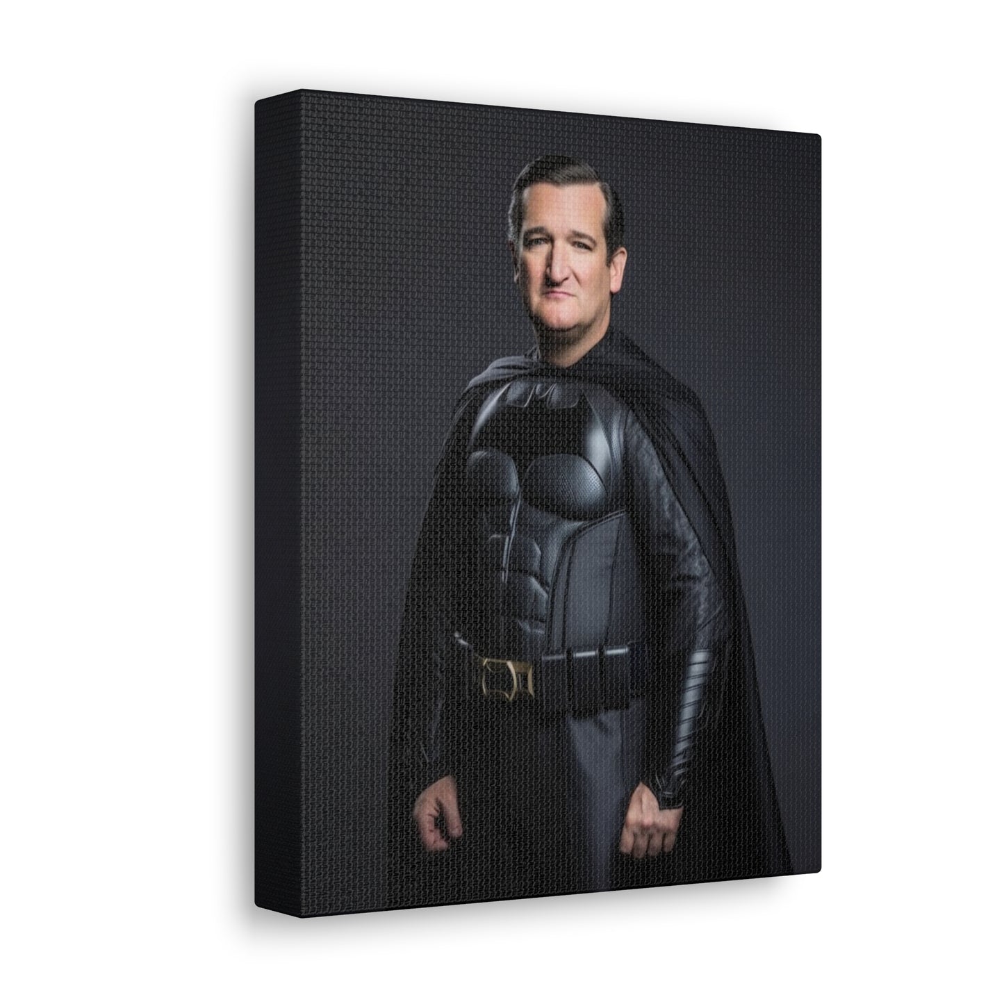 Night's Watchman: The Crusader of Capitol Hill